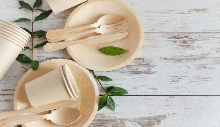 eco-friendly disposable cutlery